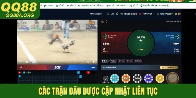 Các trận đấu được cập nhật liên tục