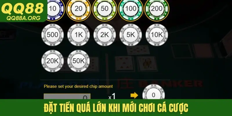 Đặt tiền quá lớn khi mới chơi cá cược