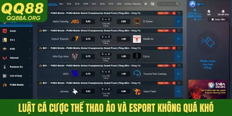 Luật cá cược thể thao ảo và Esport không quá khó
