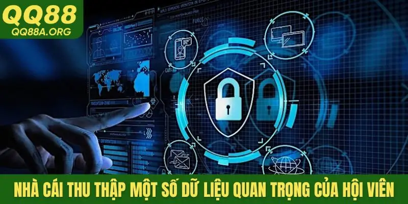 Nhà cái QQ88 thu thập một số dữ liệu quan trọng của hội viên